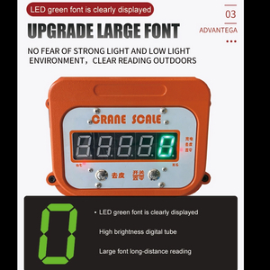 0.5T 1T 2T Ocs Pesaje digital el&eacute;ctrico Gr&uacute;a B&aacute;scula-Hener